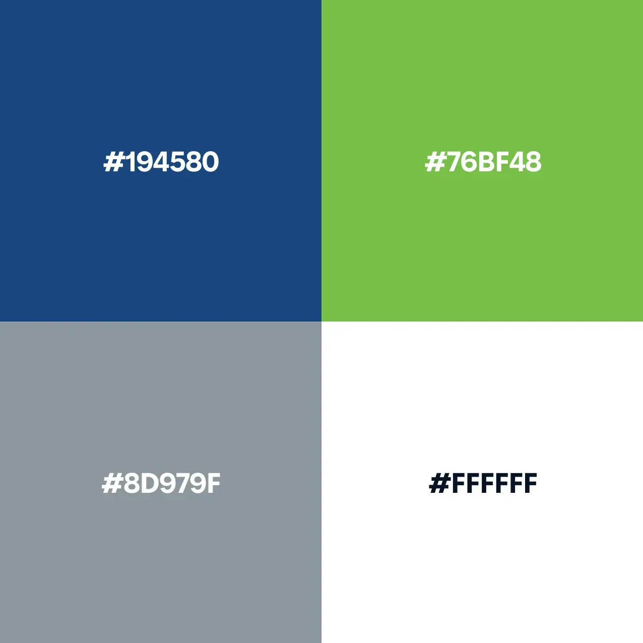 The Physiobantiger.ch colour palette