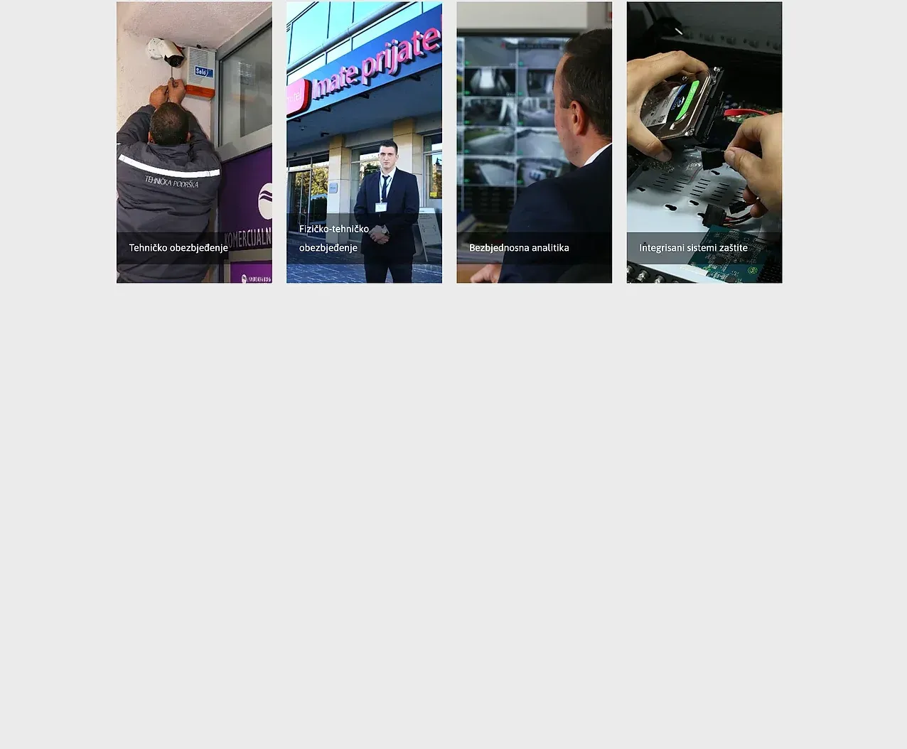 Startseite — die Website von Vector System Security