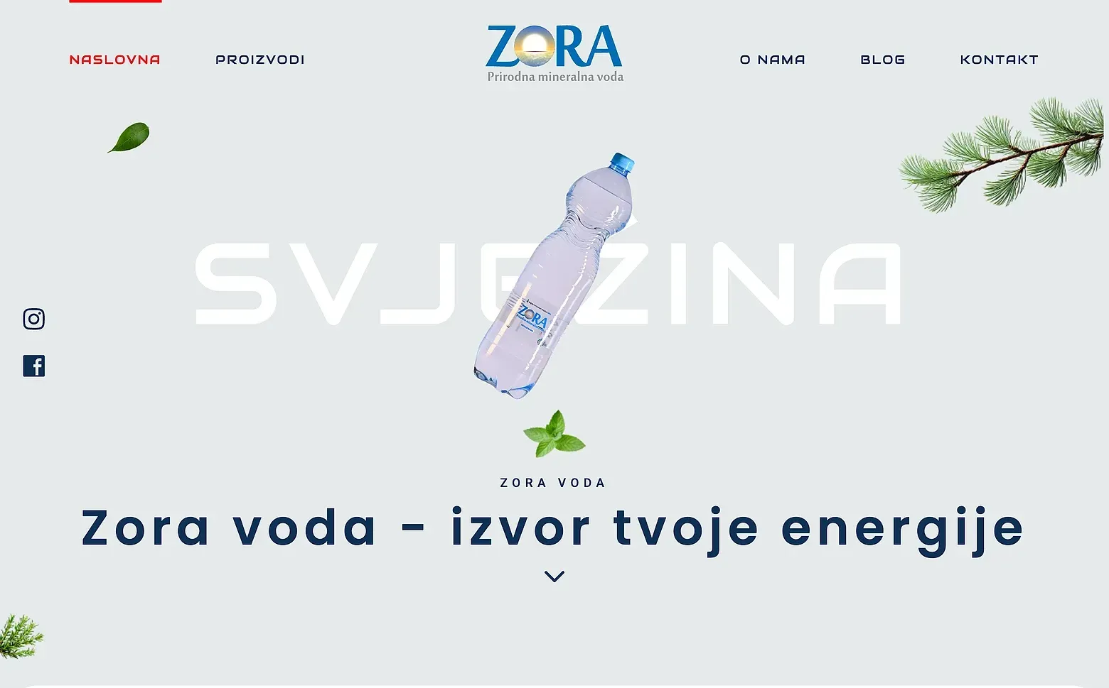 Home page of the Zora voda website